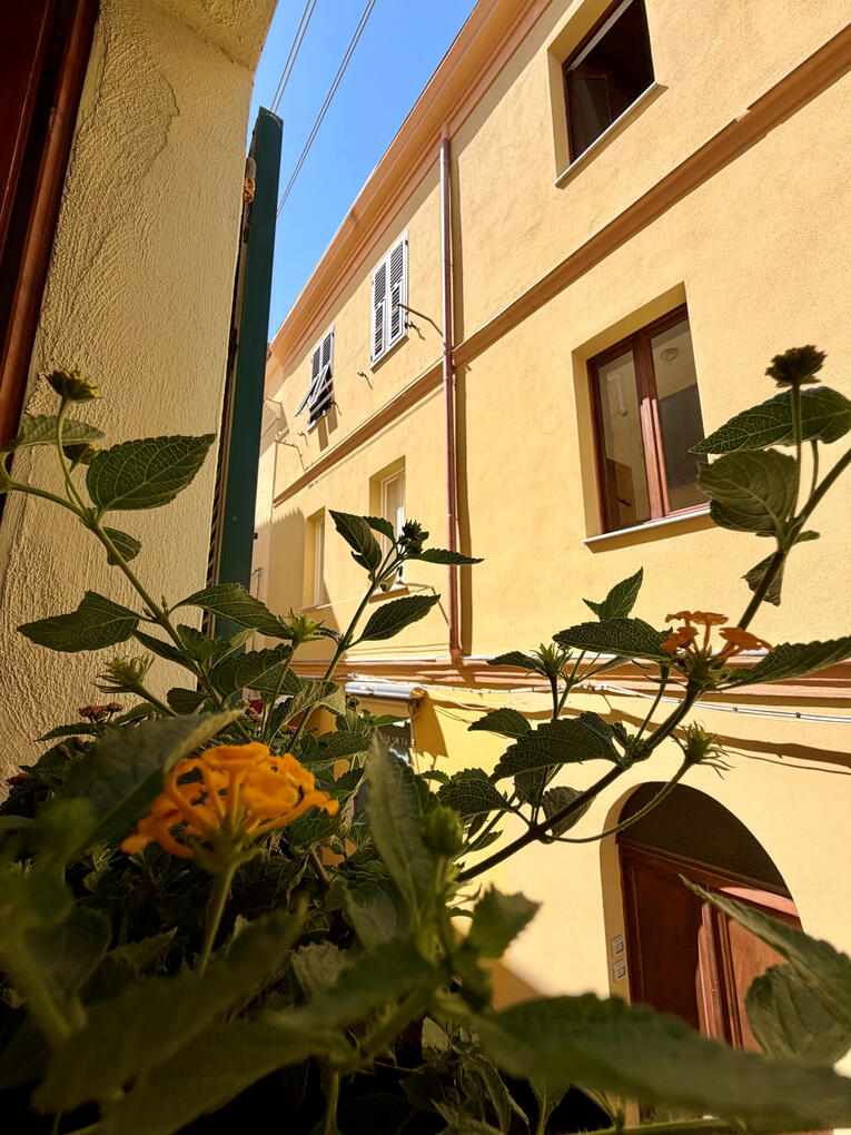View View